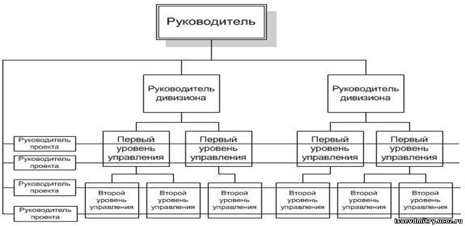 Организационная структура букмекерской конторы Букмекерской конторы организационная структура